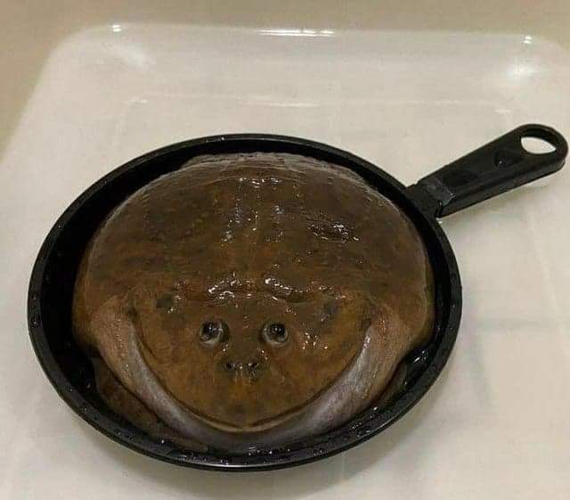 frog in da pan